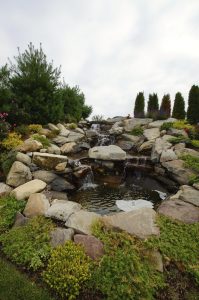 Tranquil Water Features