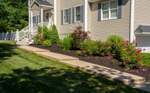 Adding plants for curb appeal