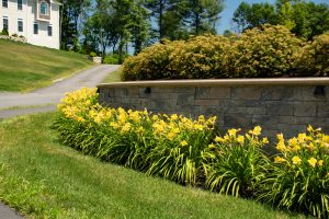 Adding plants to sidewalk