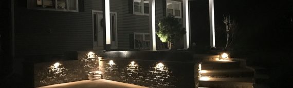 Solar vs. Low Voltage Landscape Lighting: Pros, Cons, and Pricing