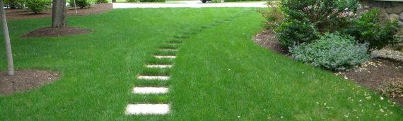 5 Ways to Build a Permeable Hardscape