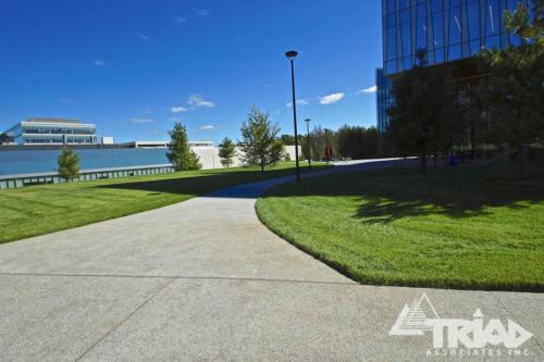 Commercial Exposed Aggregate Walkway